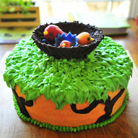 Baby Bird Cake Baby bird cake. The nest was made of chocolate. I made a little mommy, daddy, and baby bird to go in the nest.