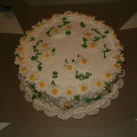 Everything's Coming Up Daisies! 