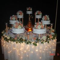 My Primer Pastel De Boda wasc con differentes sabores de filling