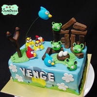 Angry Birds! This is for all the die-hard Angry Birds addicts out there!