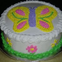Butterfly Cake This was for a little girl's 2nd birthday. It is chocolate cake decorated in BC.