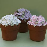 Spring Flower Pots 3 coffee flavoured mudcakes. All fondant decorations.