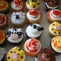 Zoo Animal Cupcakes 