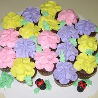 Cupcake Garden I decided to try another version of the cupcake bouquet. This one was much easier to transport. Mini cupcakes and fondant ladybugs. Thanks...