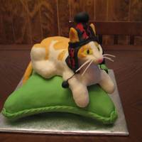 Cat In A Hat On A Pillow This was modeled after the girl's own cat. Apparently she forces him to wear the hat that looks exactly like this one every day... 10&...