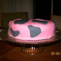 Pink Cow Cake I made this pink cow cake for my sisters 21st birthday. A chocolate cake covered with pink fondant with black spots! It was yummy and lots...