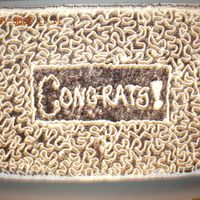 Brother's Housewarming Cake Chocolate fudge cake with Buttercream Dream, tasted very much like an oreo. I took the cake scraps from the hump, dried them out a little...