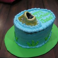 Fish Cake this was a cake i did for a friend last minute. it turned out okay. thefish is made out of rkt and covered in fondant. i'm a critique...
