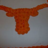 Im000502.jpg Texas LongHorn cake . Just what we needed to add to the Texas/OU weekend fun. Hook-em Horns!!!!!!