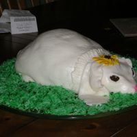 Lop Bunny Cake first carved cake and first time with fondant. The lop ears gave me fits but my daughter loved it.
