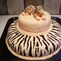 Tiger On Top Tigercake to my son aged 12 and his schoolclass. They were learning about tigers and he broght this to school on the "last day of...