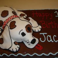 Jacob's Birthday 