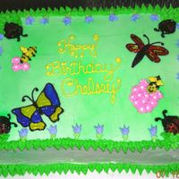 Springtime Cake For a little girl's birthday. Dragonfly and Butterfly made with piping gel. Flowers made from BC. Border with leaf tip. Bees made from...