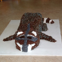 Raccoon Groom's Cake 