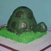 Pete The Turtle WASC, Buttercream, MMF1/2 ball pan, 2 - 8" rounds, 10" squarebaked, iced and decorated in 5 hours