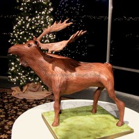 Chocolate Moose 3D cake on pvc armature. all buttercream, airbrushed...and almost too tall to fit in the back of my car. We had to tip it slightly to get...