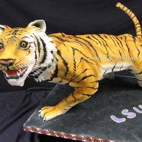 3D Tiger Cake This 3D tiger cake on pvc armature was made to take step by step pictures for a sculpted cake class that I taught in Baton Rouge. It was a...