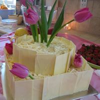 Bridal Shower Cake My first bridal shower cake. Bottom tier is a raspberry white chocolate mousse cake, top tier is a tiramisu cake, decorated with white choc...