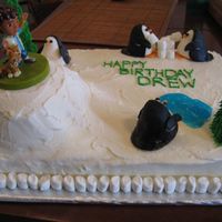 Penguins & Diego I did a Diego saves the penguins party for my son's 4th birthday. The penguins are made from marshmallow fondant. Frosting is...