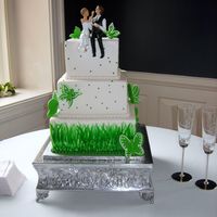 Spring Time Butterflies & Grass Had fun, this is based off of a fondant cake but is all buttercream. The butterflies are gumpaste with royal icing piping for the design...