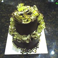 Chocolate! Chocolate plastic wrap with chocolate ruffles. This is another picture of my birthday cake that shows the full size of my cake. TFL.