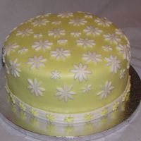 Yellow Daisies 