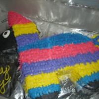 Donkey Pinata All BC.