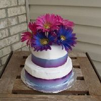 Practice Spring Wedding Cake I have been wanting to make a wedding cake just to see if I could get one to turn out decent. I had some extra buttercream icing so I...