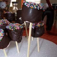 Copy_Of_Picture_016.jpg marshmallows skewers with melt brandied dark chocolate coat and multi color sprinkles
