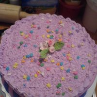 Att00243.jpg buttercake decorated on their sides in fondant and on top in bc icing