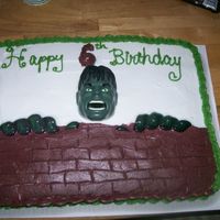 The Incredible Hulk Made this cake for my sons 6th birthday. He LOVED it!
