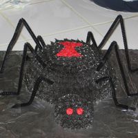 Spider Cake This is 1 of 2 cakes I made for my daughter for her birthday. She wanted a Halloween/spider theme. The body is made with the Wilton sport...