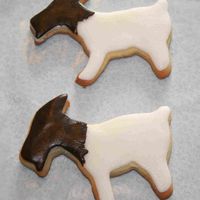 Boer Goats I raise Boer goats and just had to try out my new goat cookie cutter :). NFSC with RBC.