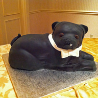 Mary Ann chocolate cake with raspberry filling. i don't know how people cut into cakes that look like their pets! thanks for looking!
