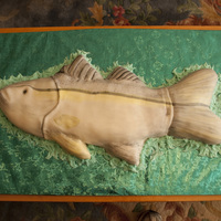 Snook Fish Cake The groom is an avid snook fisherman, a fish that is found off the gulf coast of Texas. The bride requested this cake for him as a surprise...