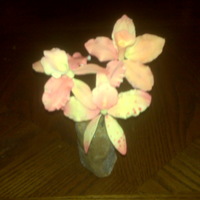 Gum Paste Orchids gum paste orchids with wires and floral tape.