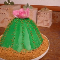 Barrel Cactus My mom is into the southwest stuff so me and my 6 year old daughter made this for her birthday. I used the Wilton wonder mold doll pan and...