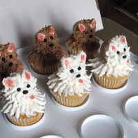 Puppy Cuppies I tried the brown puppies using a leaf tip and the white puppies using a ziplock with tape reinforced corner and "M" cut that I...