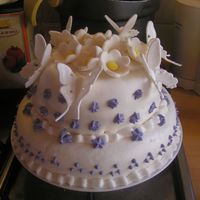 Butterflies Red velvet cake (bottom) filled with peach and passionfruit. Vanilla/ chocolate (top) filled with cherry and chocolatecreme with...