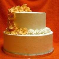 Wilton Courseiii This was my final cake for course III. RI flowers with BC roses. TFL