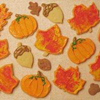 Fun Fall Cookies This was my first attempt at Autumn themed cookies. I am new to cake/cookie decorating, but am going to keep going and work my way up to...