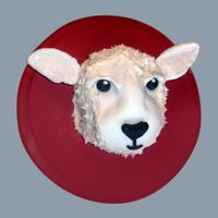 Lamb's Head Cake The first cake I ever made was for my sister's birthday two years ago. She wanted a lamb cake, but after hours of work, the cake was a...