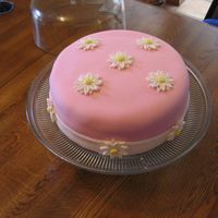 2Nd Cake This is my second cake, this first was really bad! It's very simple and far from perfect but after my 1st cake I'm pretty happy...