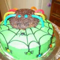 Spider Cake This was for my sons kindergarten class. Chocolate cake with buttercream frosting.