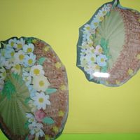 Practice Cake moccha chiffon, frost with special moccha icing, make this during my practice periods of flowers,