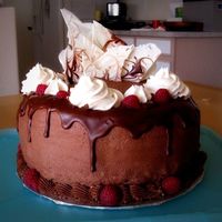 Chocolate-Raspberry Cake This is a four layer chocolate cake with raspberry and cream filling. The layers go like this: cake, raspberry filling, cake, cream filling...