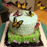 Butterfly Cake Mostly buttercream. Rice paper butterflies, gum past grass, crushed Oreos around the bottom of the cake.