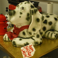 Dalmation Always a challenge!