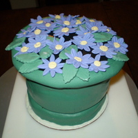 Flower Pot I made this for Mom's birthday. It's strawberry cake and icing covered in Satin Ice fondant
