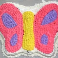 Butterfly Chocoalte cake with buttercream icing.